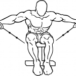 cable seated rear lateral raise 1