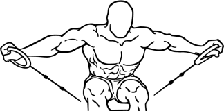 Seated Rear Lateral Cable Raise Seated Rear Lateral Cable Raise 1