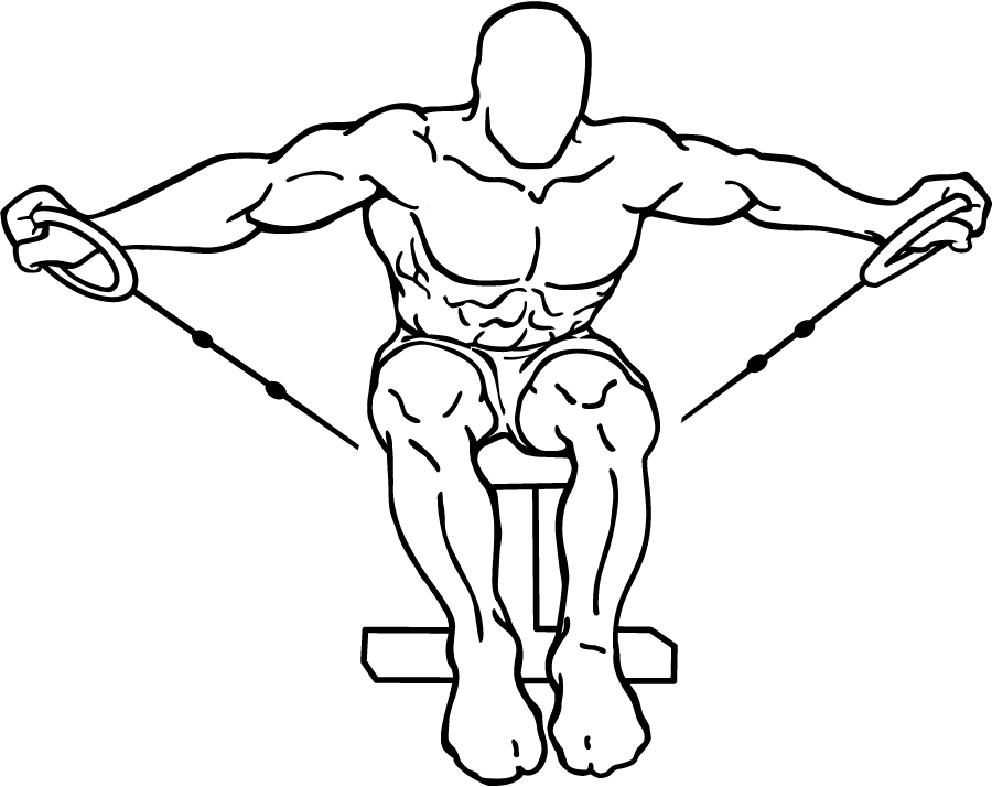 cable seated rear lateral raise 1