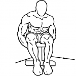 cable seated rear lateral raise 2