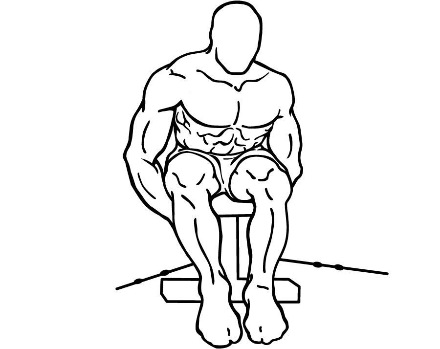 cable seated rear lateral raise 2