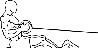 Seated Cable Rows Seated Cable Rows 1