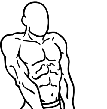 cable shrugs 2