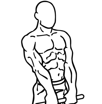 cable upright rows 2