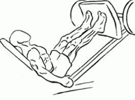 calves press on leg machine 2