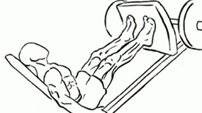 Calves Press on Leg Machine calves press on leg machine 2