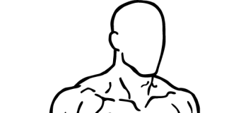 Chest Dips chest dips 1