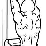 close grip front lat pull down 2