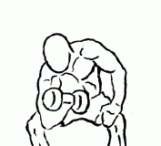 Concentration Curls with Dumbbells Concentration Curls with Dumbbells 2