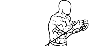 Crossover with Bands crossover with bands 1