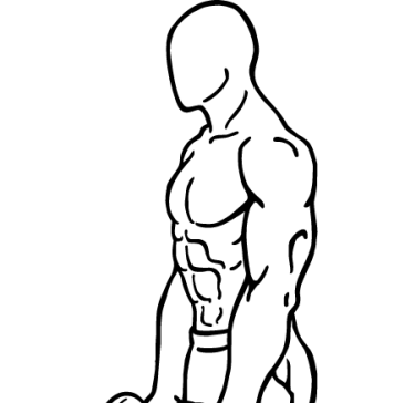 Dumbbell Deadlifts 1