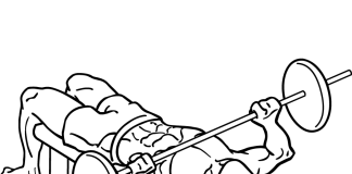 Decline Barbell Bench Press decline barbell bench press 2