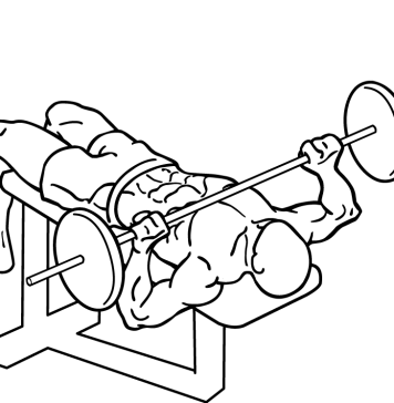 decline barbell bench press 2