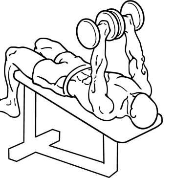 decline dumbbell bench press 1