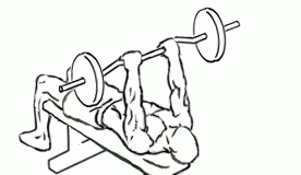 Decline EZ Bar Triceps Extension with Barbell decline ez bar triceps extension 2