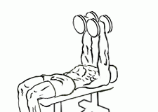 Decline Triceps Extension with Dumbbell Decline Triceps Extension with Dumbbell 2