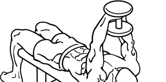 Dumbbell Bent Arm Pullover dumbbell bent arm pullover 1