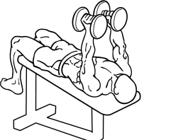 Decline Dumbbell Flyes 1
