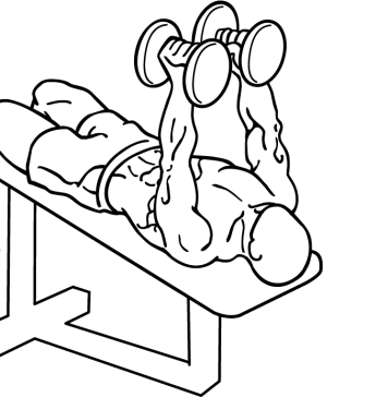 Decline Dumbbell Flyes 1