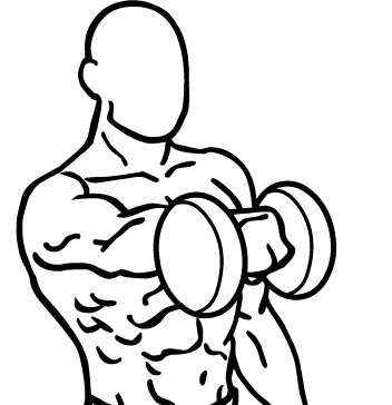 Front Dumbbell Raise 1