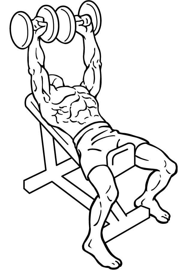 dumbbell incline bench press 1