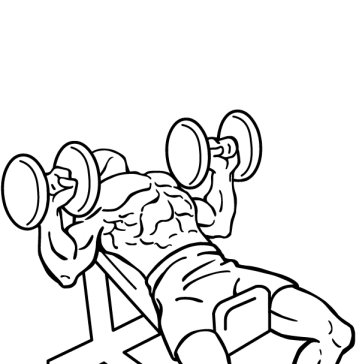 Incline Dumbbell Press 2