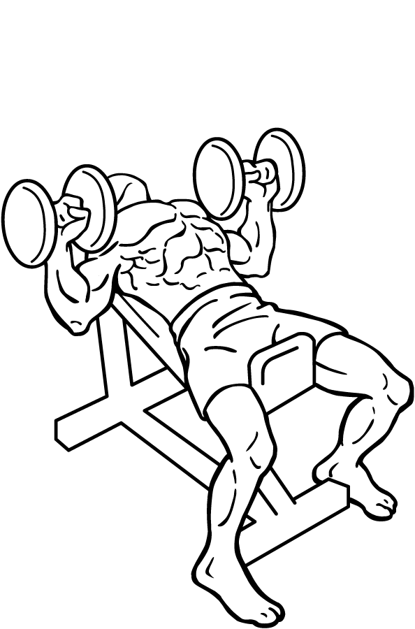 dumbbell incline bench press 2