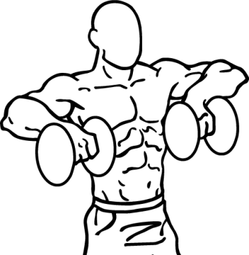 dumbbell raise 1