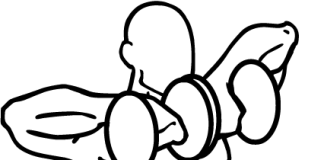 Dumbbell Upright Rows dumbbell upright rows 1