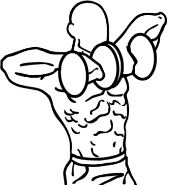dumbbell upright rows 1