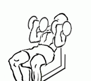 Flexor Incline Curls with Dumbbell flexor incline curls 2