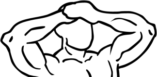 Static Neck Flexion and Extension Static Neck Flexion and Extension 1