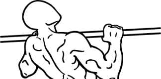 Gironda Sternum Chins gironda sternum chins 1