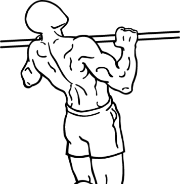 gironda sternum chins 1