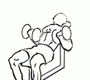 Incline Biceps Curl with Dumbbell: The Ultimate Biceps Builder Incline Biceps Curl with Dumbbell 2