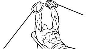 Incline Cable Flyes incline cable flyes 1