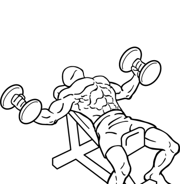 incline dumbbell flyes 2