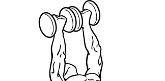 Incline Flyes with a Twist Incline Flyes with a Twist 1