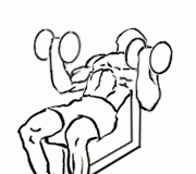 Incline Inner Biceps Curl with Dumbbell: Mastering the Art of Bicep Isolation Incline Inner Biceps Curl with Dumbbell 2