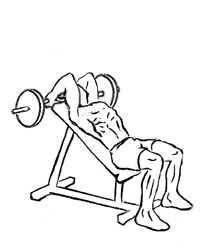 incline triceps extension 2 1