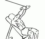 Incline Triceps Extension with Cable Incline Triceps Extension with Cable 2