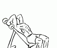 Incline Triceps Extensions with Dumbbell Incline Triceps Extensions with Dumbbell