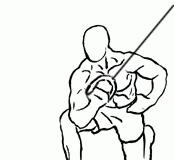 Kneeling Triceps Concentration Extension with Cable: A Focused Approach to Triceps Strength Kneeling Triceps Concentration Extension with Cable 1