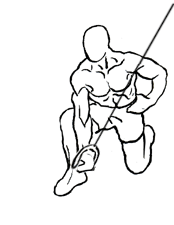 kneeling concentration triceps extension 2