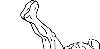 Flat Bench Leg Raises Flat Bench Leg Raises 1
