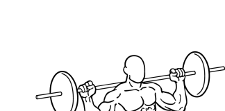 Barbell Lunges lunges 1