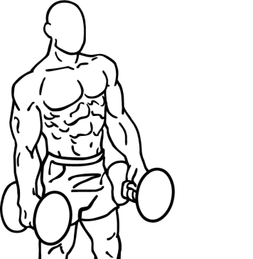 Dumbbell Lunges 1