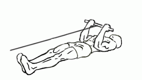 Lying Bicep Cable Curl Lying Bicep Cable Curl 2