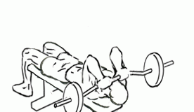 Lying Close Grip Triceps Press to Chin with Barbell lying close grip triceps press to chin 1