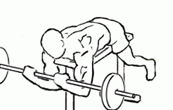 Lying High Bench Biceps Curl with Barbell lying high bench biceps curl with a barbell 2
